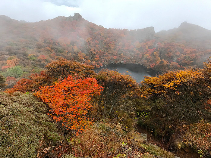 【絶景ポイント】大分県の知られざる風景：絶対に行きたい観光スポット3選