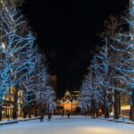 【絶景】写真家が選ぶ！秋冬の北海道で訪れるべき絶景7選