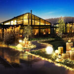 【イルミネーション】いばらきフラワーパークのムーンライトローズガーデン：心温まるイルミネーションの魅力