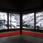 【一人旅】50代女性のための京都旅ガイド：初心者向けおすすめスポット