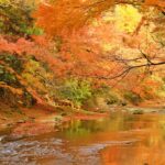 【冬の紅葉を満喫】12月に訪れたい！紅葉と温泉が楽しめるスポット5選