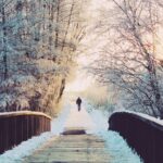 【一人旅】一人旅のススメ：冬の埼玉をとことん満喫！