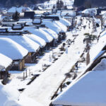 【光る君へ】「静かな時間」を楽しむ越後高田の新緑と冬景色