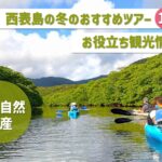 【ご当地グルメ】沖縄離島の魅力：カチューユやウキムルーを味わう旅