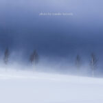 【地吹雪】前に進めない爽快さ！青森の地吹雪を体験してみた