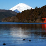 【箱根駅伝観戦ガイド】100倍楽しむ箱根駅伝！絶対行きたい観戦スポット5選