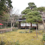 【鎌倉】隠れたアジサイスポット！一条恵観山荘での特別体験