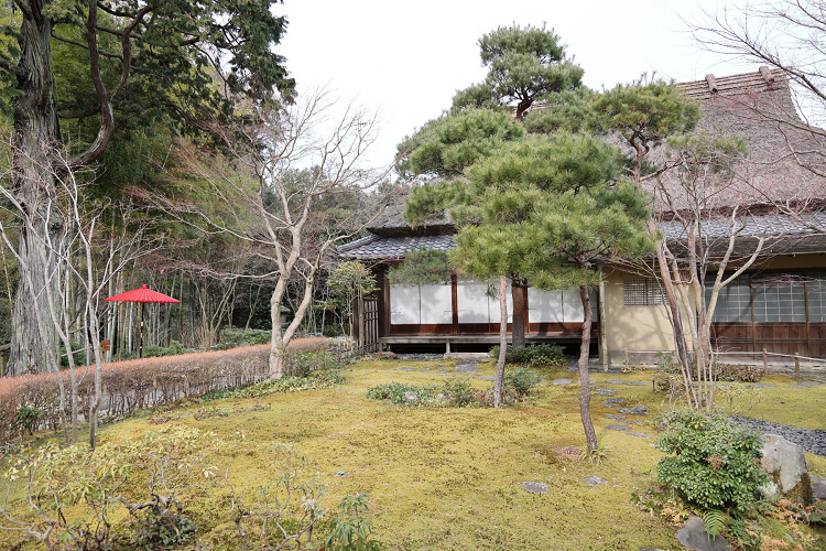 【鎌倉】隠れたアジサイスポット！一条恵観山荘での特別体験