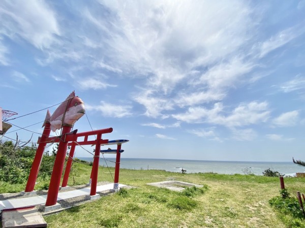 【B級スポット】神秘と壮観が交差する！奇妙な鳥居と絶景の神社を訪れてみた