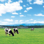 【リニューアル】那須塩原市の人気観光牧場が40年ぶりにリニューアル！新売店とレストランの魅力を紹介