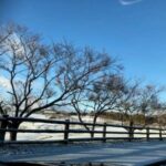 【おすすめスイーツ】雪の高千穂牧場探訪！寒い日にぴったりのスイーツ特集