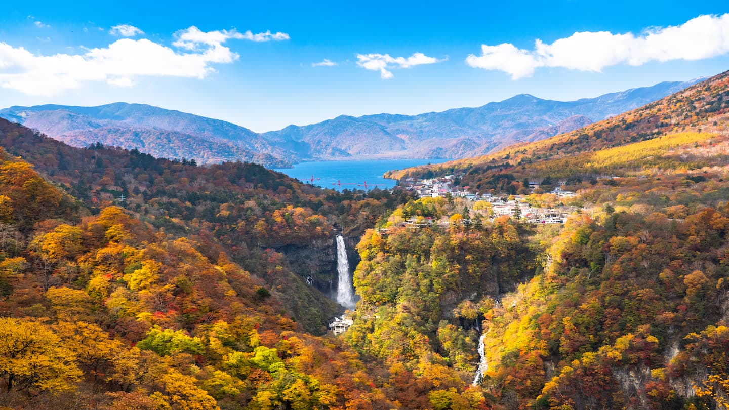 【行ってみよう】栃木県ロケ地ガイド：なぜここが選ばれるのかを探る