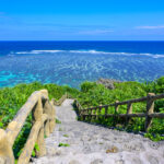 【幻想的な夜を】沖縄の冬を彩る琉球ランタンフェス：心に残る夜の体験