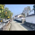 【歴史とグルメ】：1日で巡る城下町萩の観光モデルコースとポイント