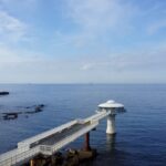 【海中公園】南紀白浜の海底探検！自然の魅力を下から覗こう