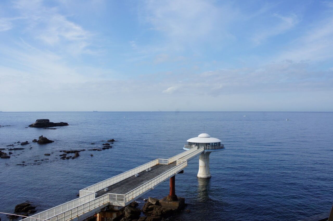 【海中公園】南紀白浜の海底探検！自然の魅力を下から覗こう