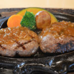 【聖地】特別感満載の日帰りサ旅：しきじとさわやかハンバーグでリフレッシュ