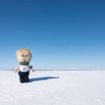 【ツアー】神社から流氷館まで！北海道網走の文化と自然を体感しよう