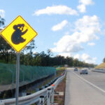 【【美しすぎる！】群馬の絶景スポット！赤に染まる「止まれ」道路を見に行く