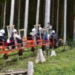 【スリル満点】森の中を駆け抜ける！五代松鍾乳洞へのモノレール冒険