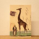 【隠れ名所】山陰の美しい風景を巡る！キリンポストを探してフォト散歩