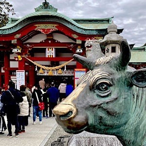 【のんびり初詣】名古屋・上野天満宮：学問とB級グルメの意外な出会い