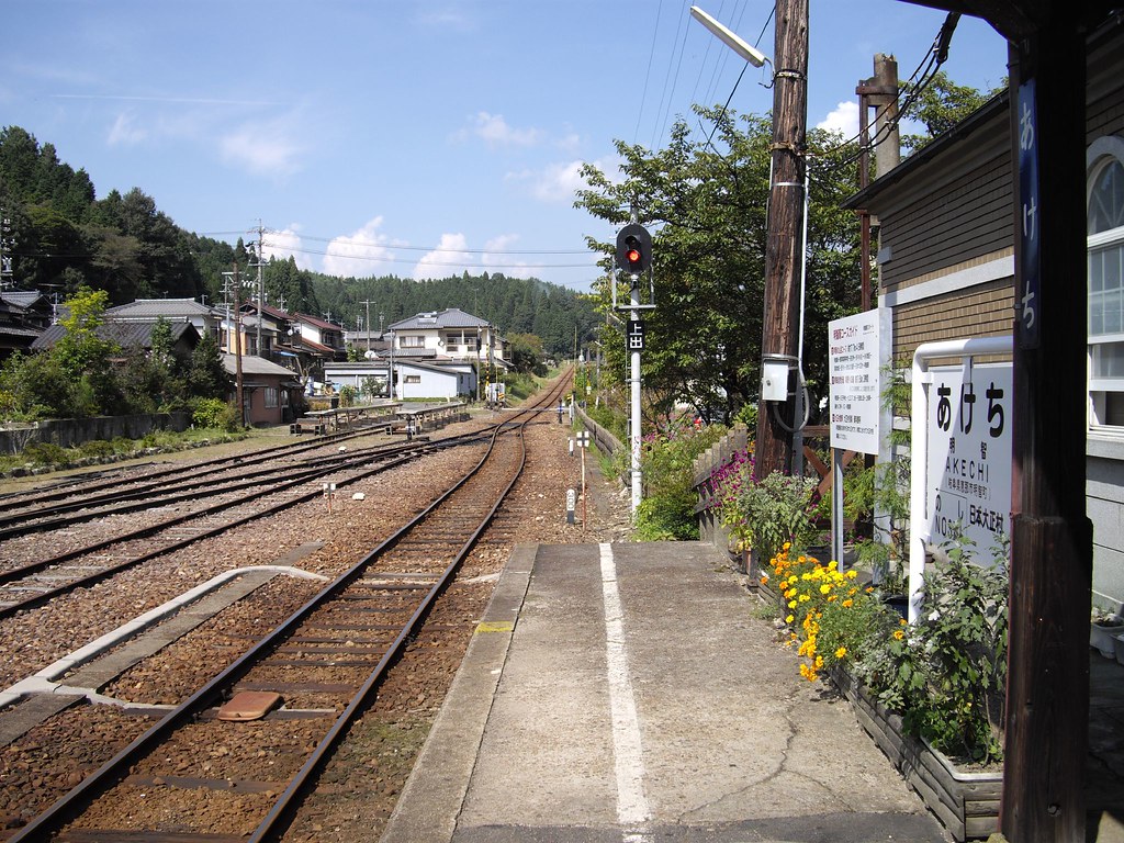 【癒しの広場】：あらいぐまとアヒルに囲まれたのどかな珍スポット