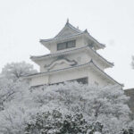 【日本100名城】丸亀城天守：400年の歴史を持つ木造天守の訪問者数が記録更新