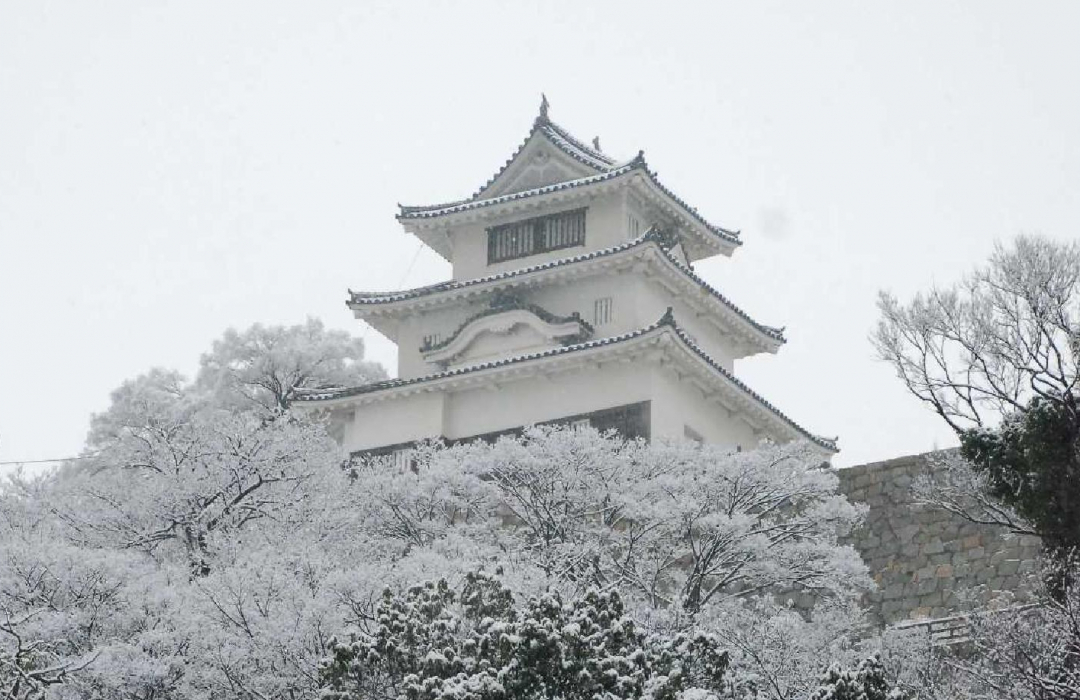【日本100名城】丸亀城天守:400年の歴史を持つ木造天守の訪問者数が記録更新