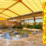 【不思議】演歌と小鳥の合唱！赤松温泉の驚きの体験