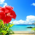 【初詣】巳年になので12年に一度の神社で新年の願いを叶えよう