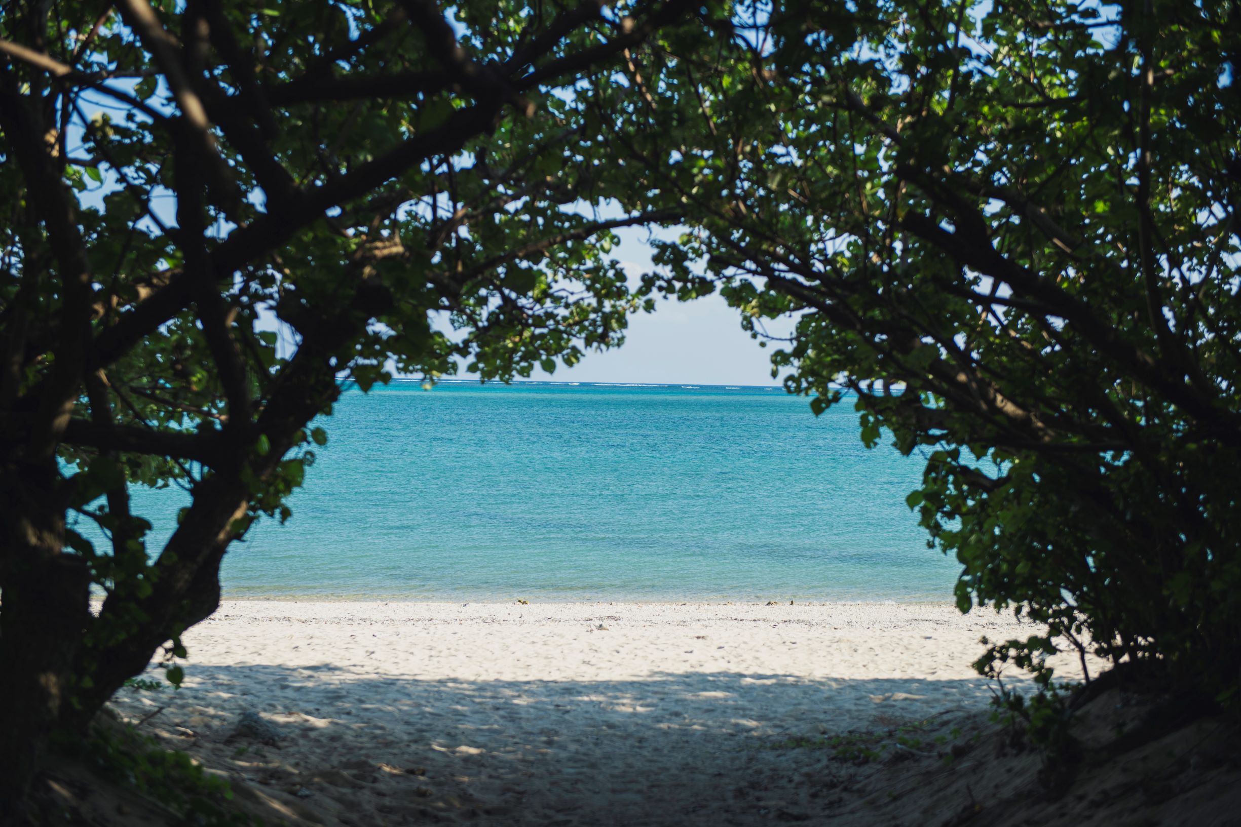 【一人旅】星のや沖縄で体験する！長寿の秘訣と健康ライフスタイル