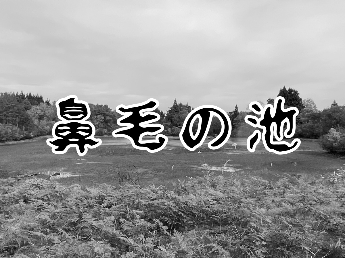 【話題の新発見！】珍スポット「鼻毛の池」は訪れる価値はあるのか？