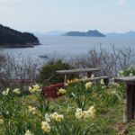 【絶景を見よう】岡山県冬の絶景を六島と湯原温泉に見に行く
