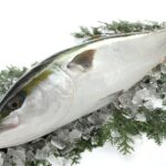 【食文化】オーストラリア人が感激した最高の日本の魚料理を食べに行った