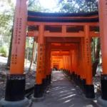 【王将戦】勝負めしから見る藤井聡太王将の戦略：伏見稲荷大社の影響と助六ずしの旅