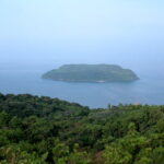 【春がきたら】暖かくなったら行きたい！鹿児島県のおすすめ観光地