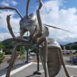 【世界一認定B級スポット】『蜂天国』で見た驚きの富士山