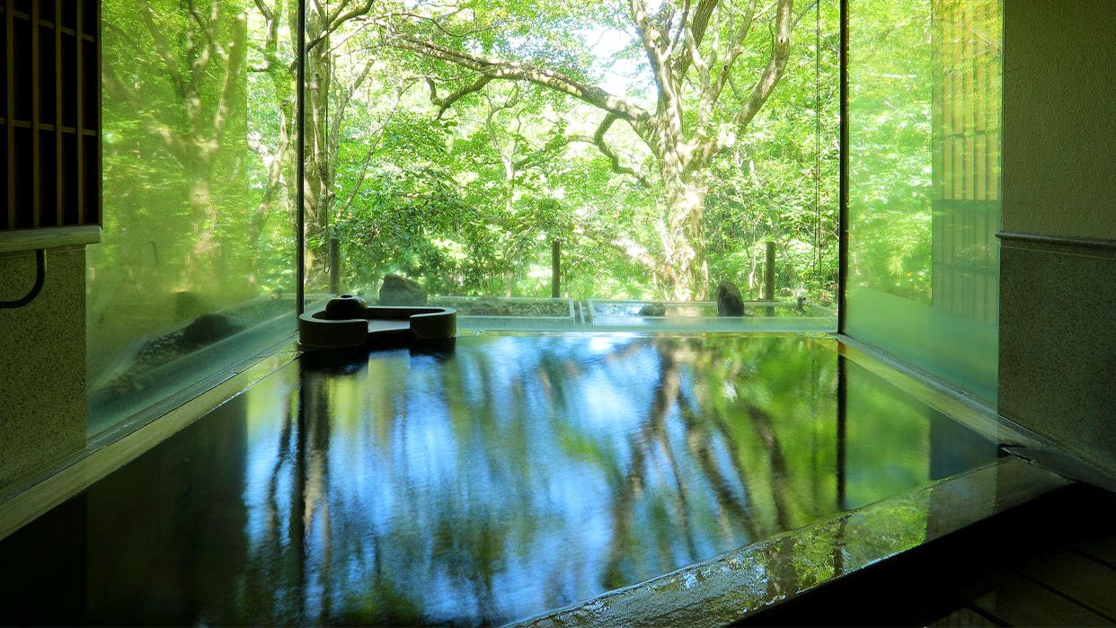 【外国人旅行客はまだ知らない！】混雑回避：東日本の信じられないほど静かな温泉スポット