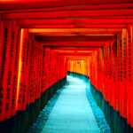 【最高の宮島】歩き疲れた時の一息休息スポット：弥山と表参道商店街の癒しの場所