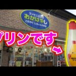 【騙された】と叫ぶほどの美味しさ！個性的スイーツが揃う『コンビニエンスおかばやし』の絶品体験