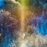 【一度は見たい】極寒のオホーツク海で見つけた驚愕の絶景！