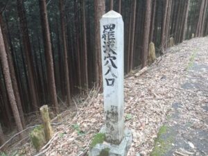 【探検スポット】地元人も知らない自然の宝庫「羅漢穴」？最新レポート