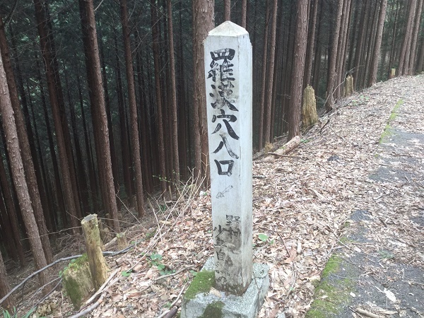 【探検スポット】地元人も知らない自然の宝庫「羅漢穴」?最新レポート