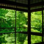 【癒しの空間】心を癒す京都のお寺散策〜青もみじと苔の絶景スポット