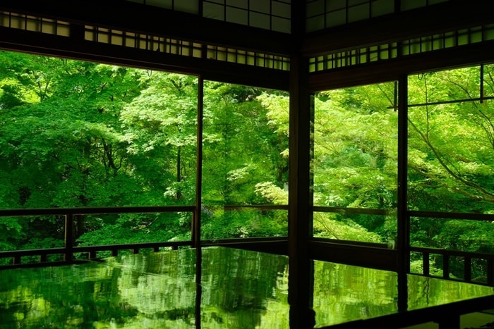 【癒しの空間】心を癒す京都のお寺散策〜青もみじと苔の絶景スポット