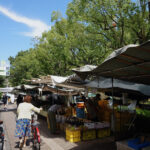 【高知グルメ】高知のおきゃく文化とグルメ探訪：木曜市で味わう地元の魅力