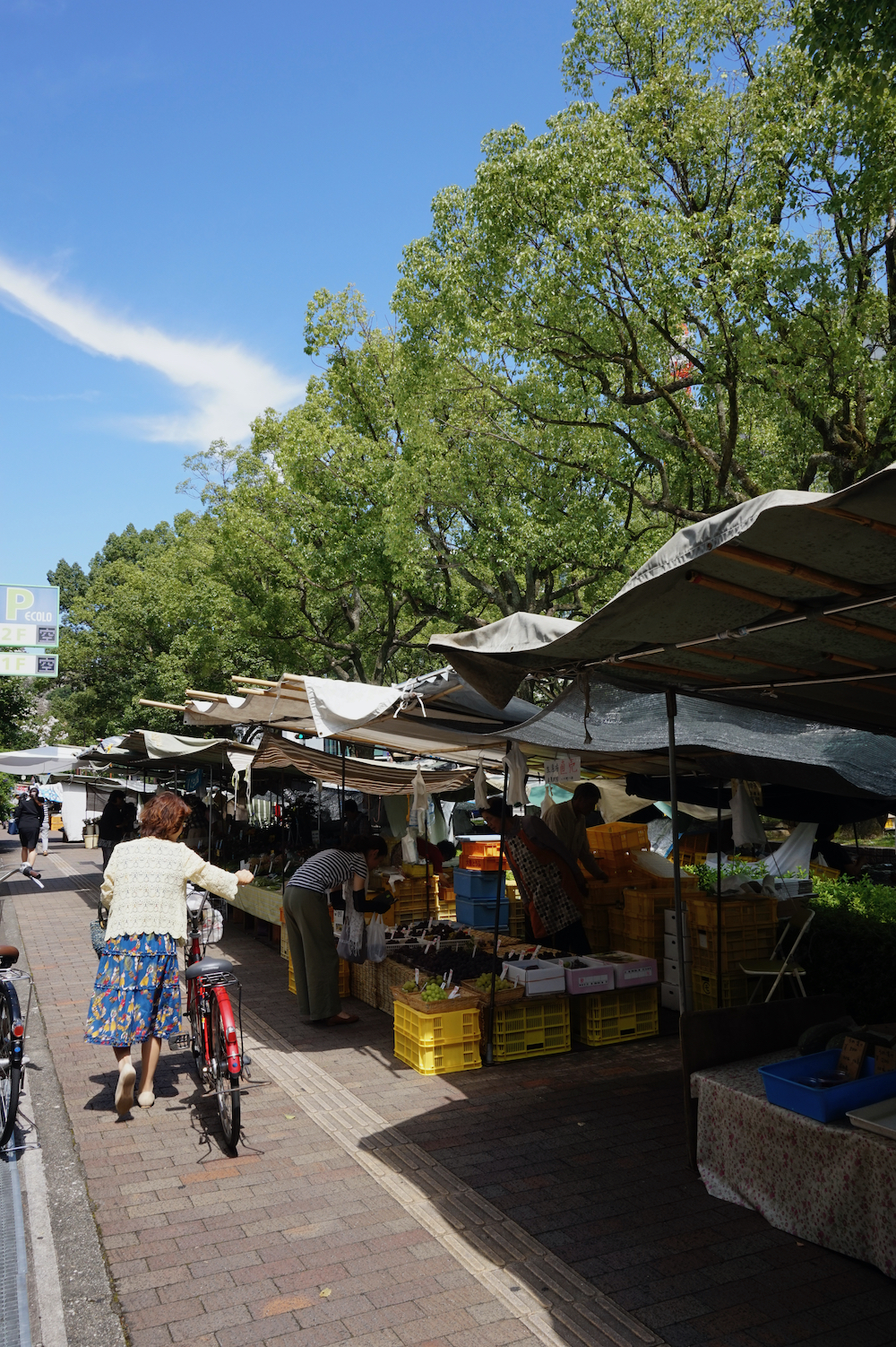 【高知グルメ】高知のおきゃく文化とグルメ探訪：木曜市で味わう地元の魅力