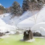 【冬のリゾート】雪山の絶景と温泉は最高の組み合わせ！冬に行くべき定番スノーリゾート
