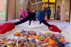 【レア体験】巨大クレーンゲームで得られる至福のお菓子。体験レポート